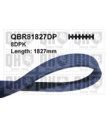 QUINTON HAZELL - QBR81827DP - 